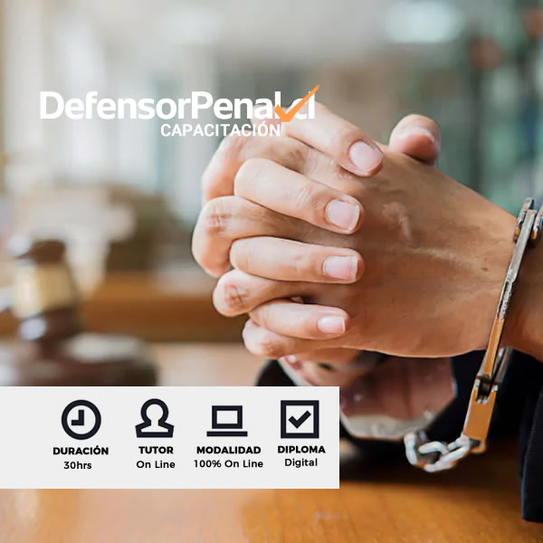 Curso Derechos y garantías en el proceso penal